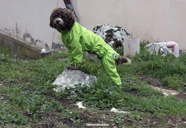 Impermeabile - New Basic - immagine 10